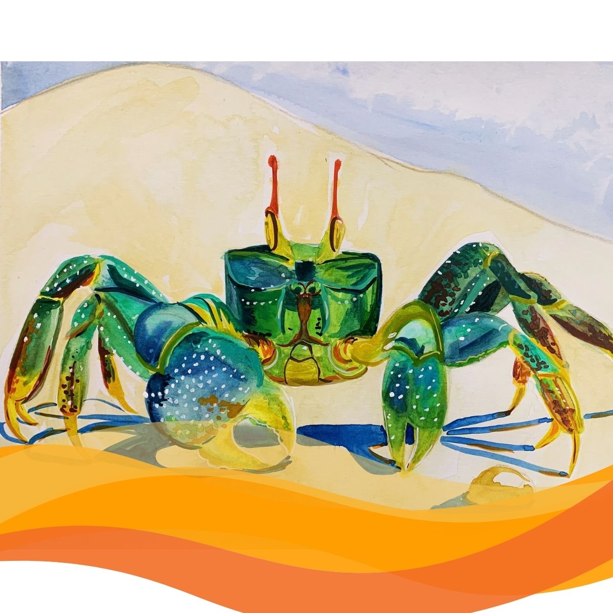 Ghost Crab Colour Pencil Artwork with Patricia Claro
