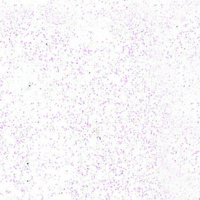 Pébéo Setacolor Light Fabrics Glitter 45 ml