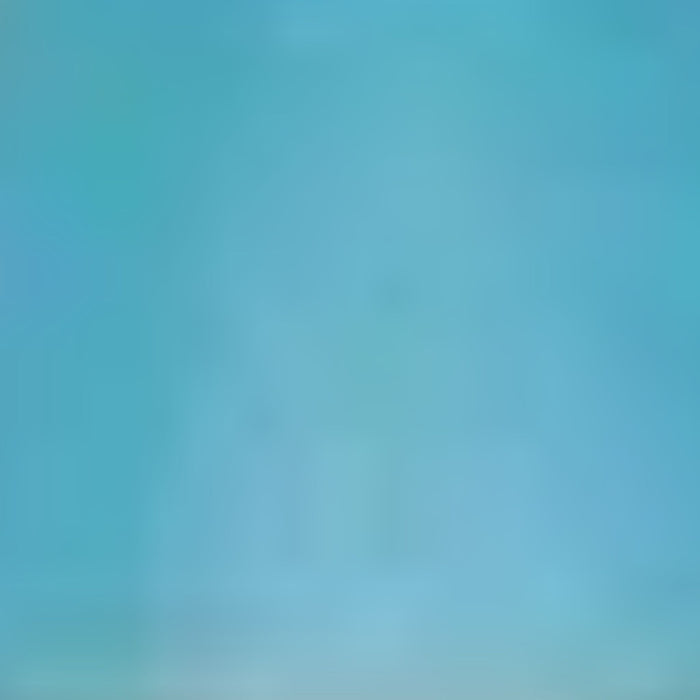 Sakura Solid Markers