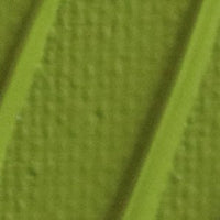 Pébéo Origin Acrylic Paint