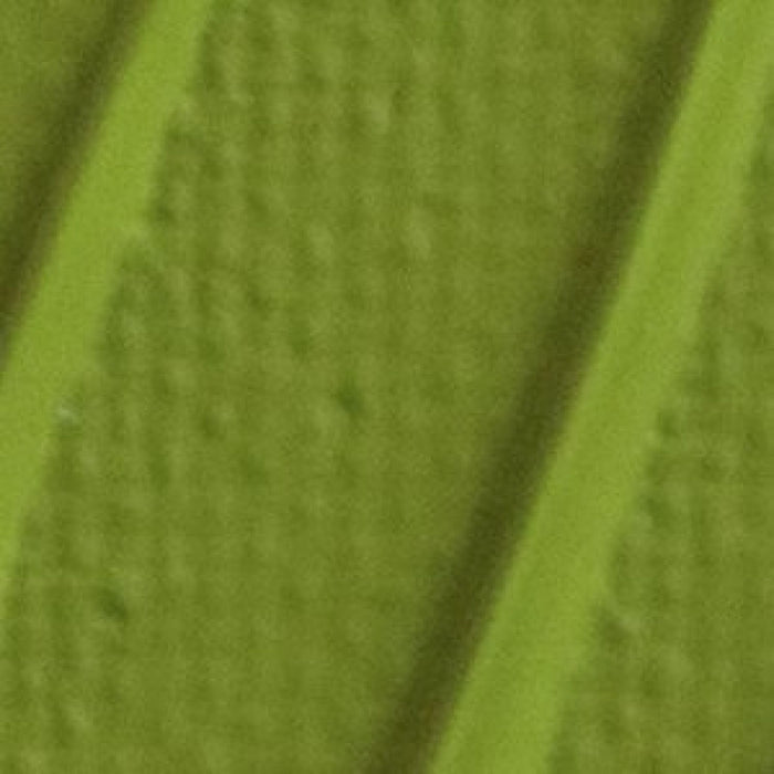 Pébéo Origin Acrylic Paint