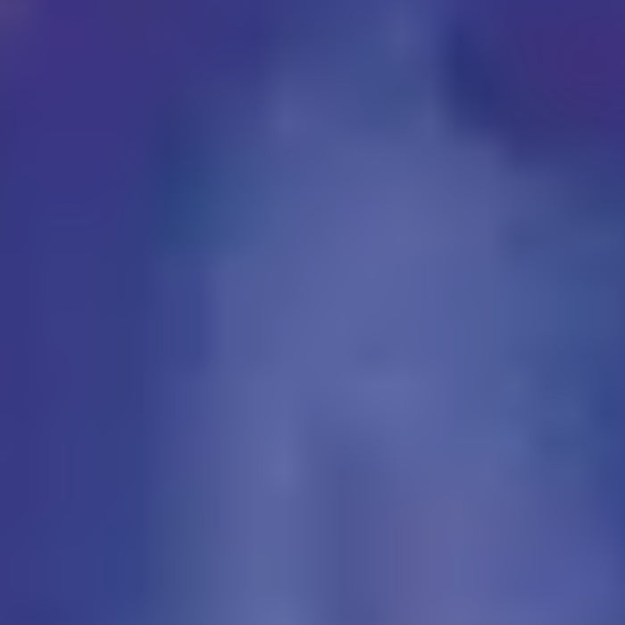 Sakura Solid Markers