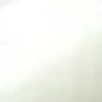 Sakura Solid Markers