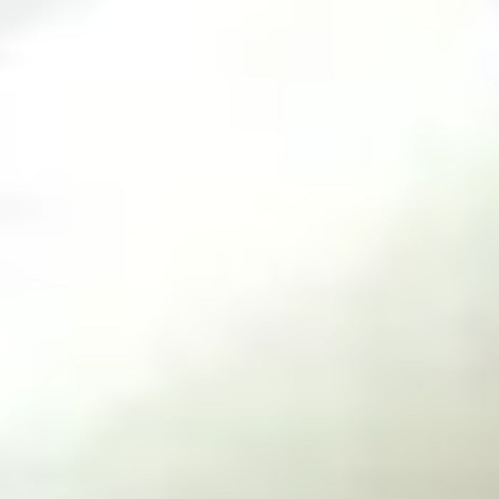 Sakura Solid Markers