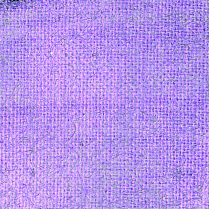 Pébéo Setacolor Opaque Fabric Paint 45 ml