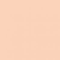 Pébéo Acrylic Markers