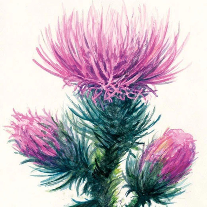 Strathmore 400 Series Watercolour Sheets - Pack of 10