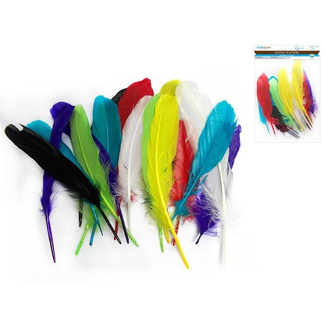 Goose Feather Pack - Assorted Colours