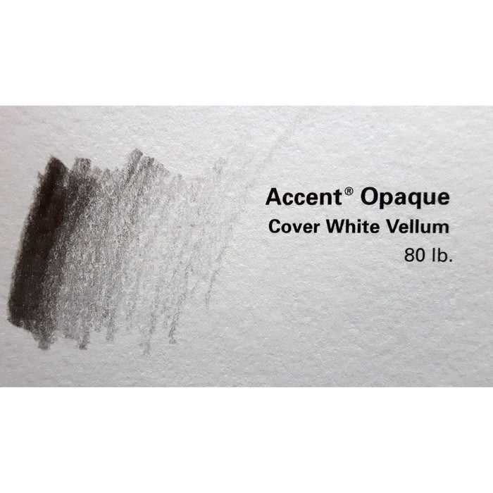Accent Vellum Drawing Paper
